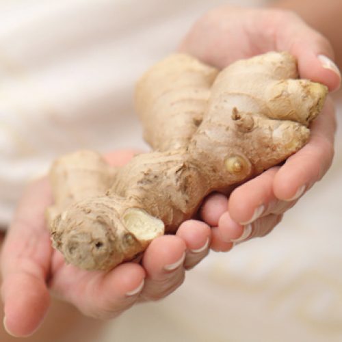 Ingwer ist ein altes Hausmittel und hilft bei Erkältungen