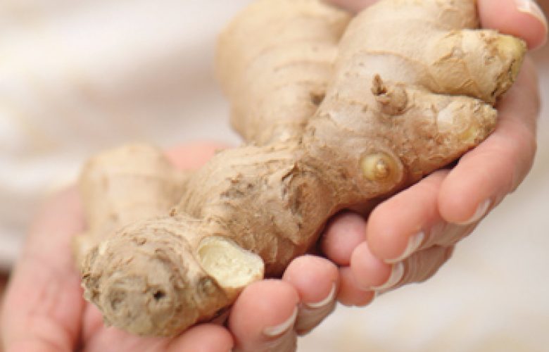 Ingwer ist ein altes Hausmittel und hilft bei Erkältungen