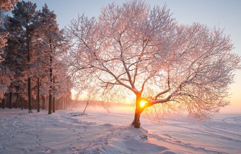 Winter im Wellnesshotel: Entspannt genießen