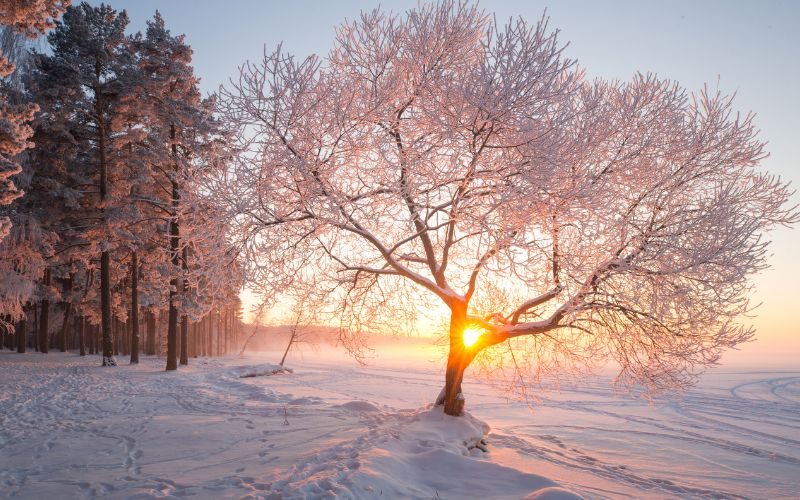 Winter im Wellnesshotel: Entspannt genießen