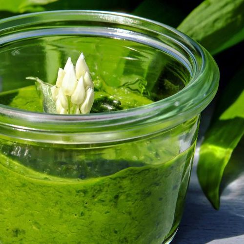 Bärlauchpesto