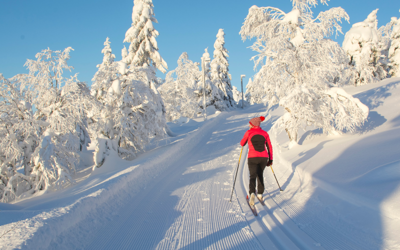 Winter im Wellnesshotel: Langlauf in traumhafter Natur
