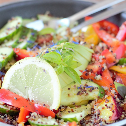 Wellness-Vital-Küche: Gesunder Genuss