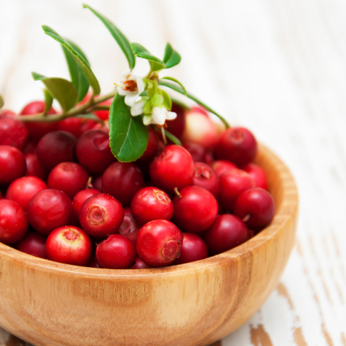 Wichtigste Zutat für den Cranberry-Macadamia-Müsliriegel