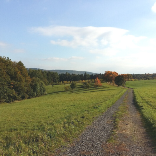 Wandern im Westerwald