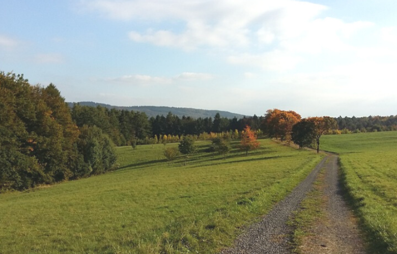 Wandern im Westerwald