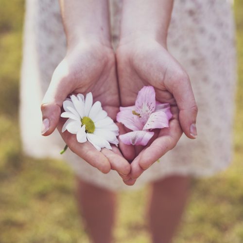 besondere Ausflugstipps in der Natur