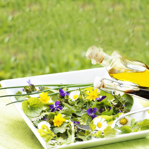 Kräuter für den Frühling