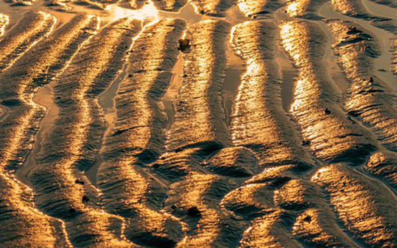 Schlick im Wattenmeer