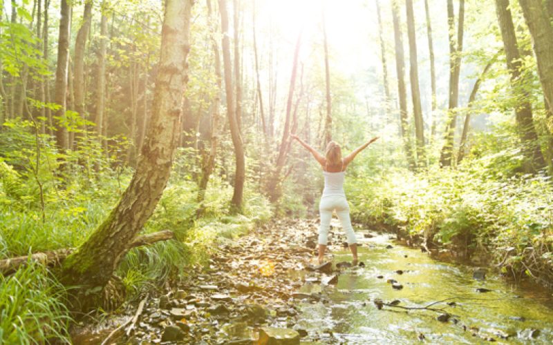 WEBheinz-frau-bach-sommer-auen-10