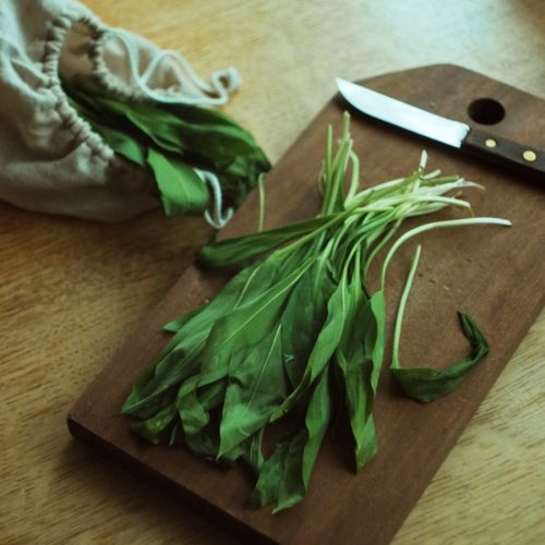 Bärlauch im Frühling