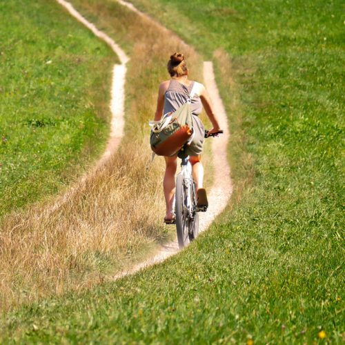 Radfahren am Niederrhein