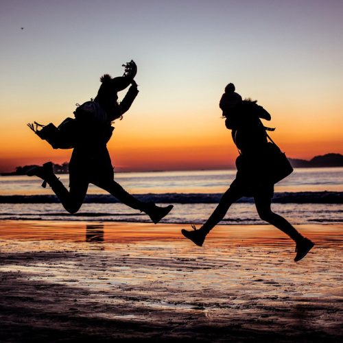 Die vier Säulen eines starken Immunsystems