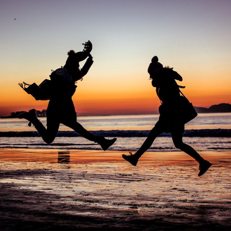 Die vier Säulen eines starken Immunsystems