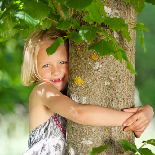 Nachhaltigkeit im Hotel: Die Umwelt für nachfolgende Generationen schonen