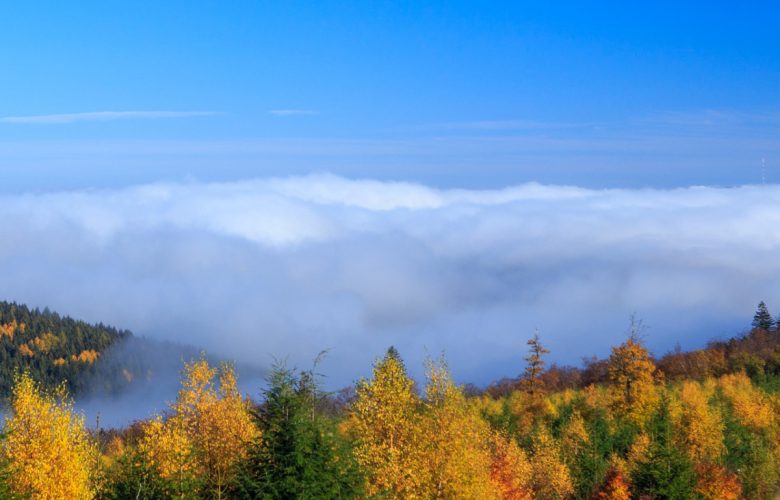 Rothaargebirge im Herbst