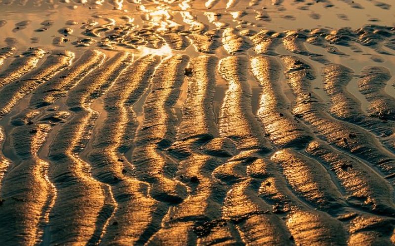 Thalasso: Heilkraft aus dem Wattenmeer