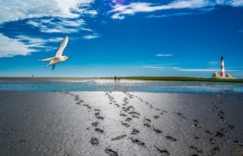 Urlaubs-tipps für die Husumer Bucht