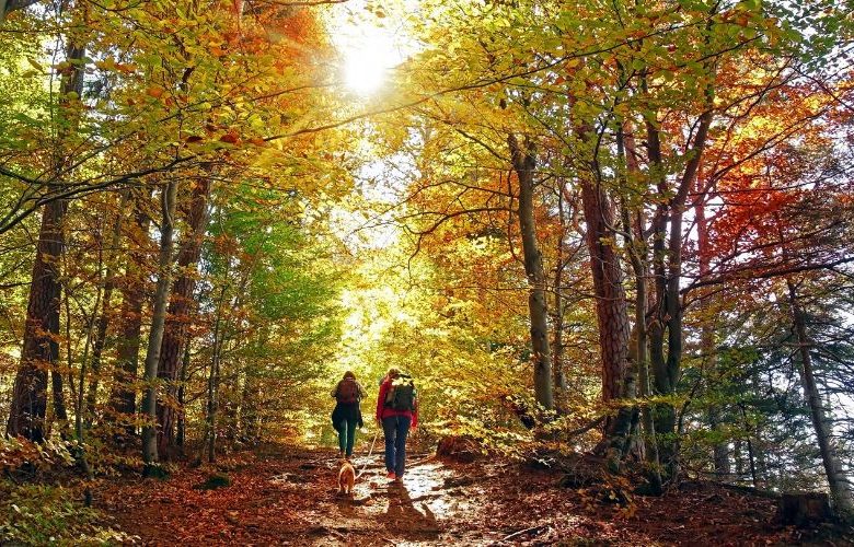 Wellnessurlaub im Herbst genießen und Natur erleben