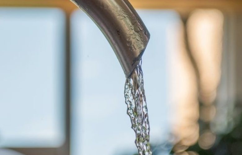 xbad-clevers-_dsc0781_bearb-768x532